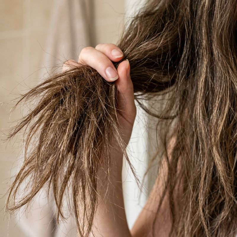 Damaged Hair