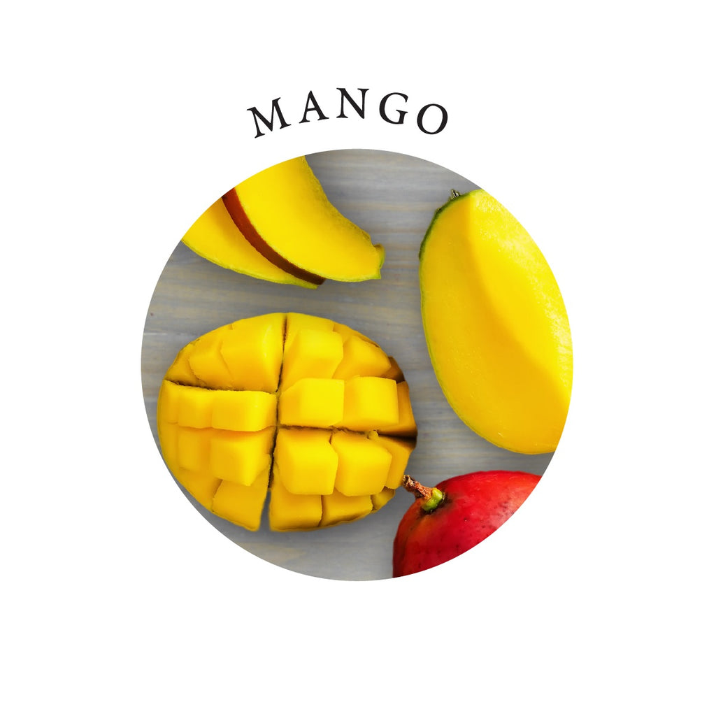 Earthly Body Edible Massage Candle (4 oz, Mango Flavor) image 1