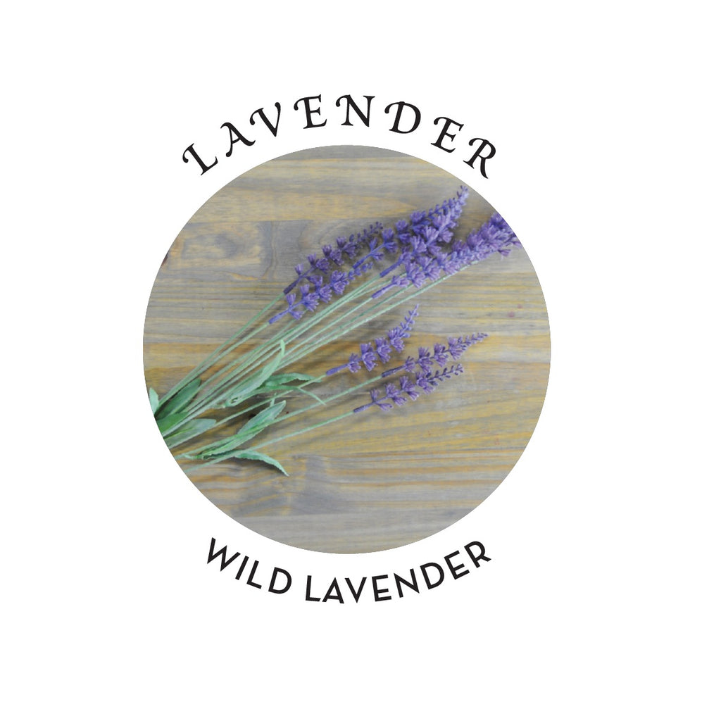 Hemp Seed Hand & Body Lotion Lavender Scent image 3