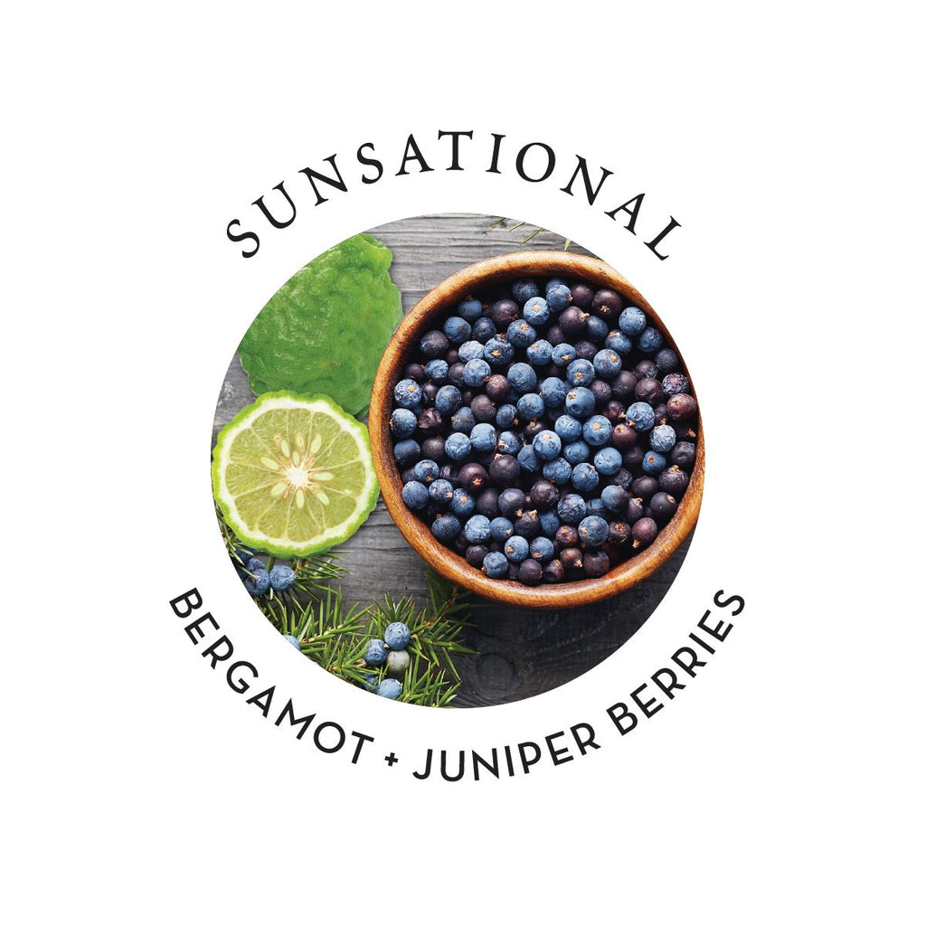 Hemp Seed Hand & Body Lotion Sunsational Scent image 4