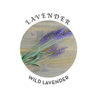 Hemp Seed Massage Oil Lavender Scent image 3