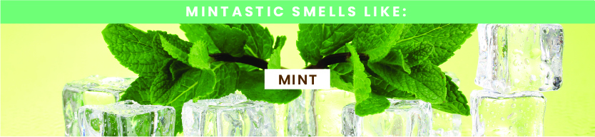 Hemp Seed Shower Gel Mintastic Scent | Shop Earthly Body