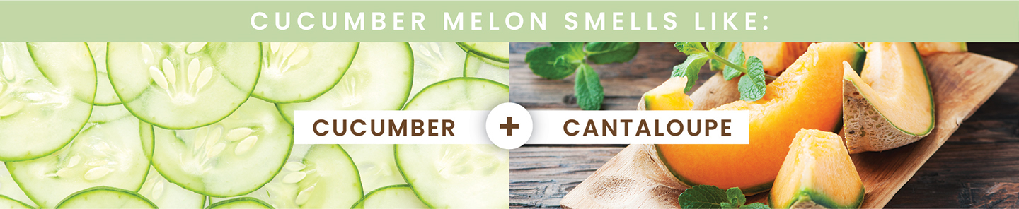 Hemp Seed Bath & Shower Gel Cucumber Melon Scent | Shop Earthly Body