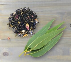 Menu Item | Eucalyptus and Tea