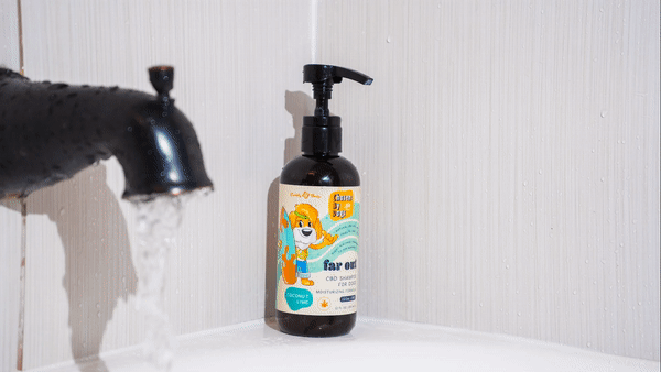 CBD Dog Shampoo